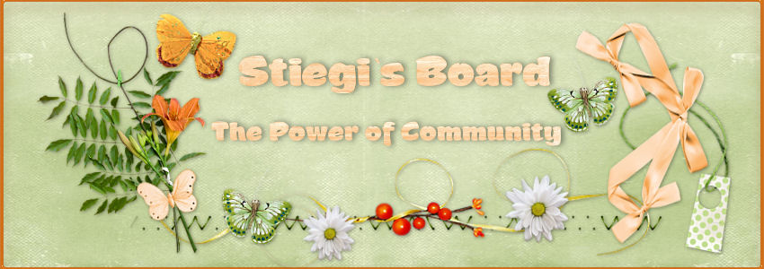 Stiegi's Board