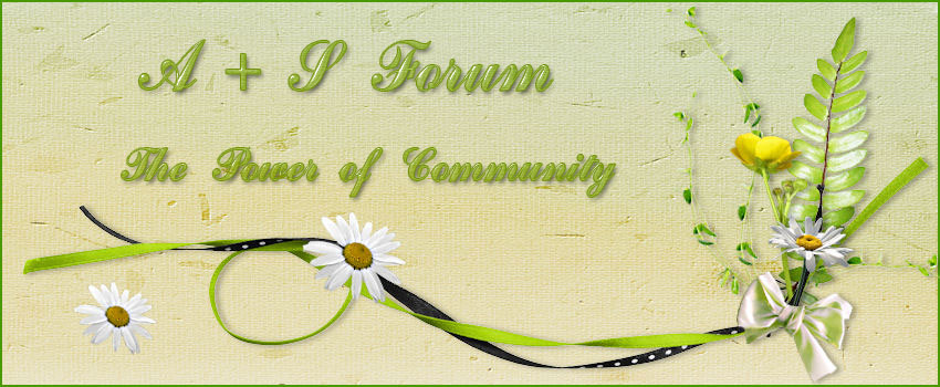 Stiegi's A+S Forum