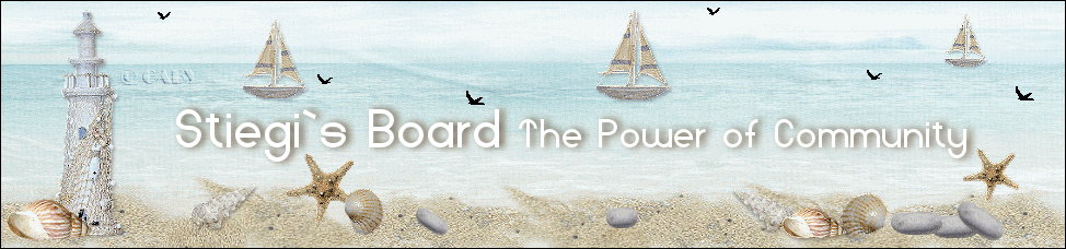 Stiegi's Board